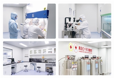 发力细胞免疫治疗赛道,青岛这家生物科技企业完成数千万元融资