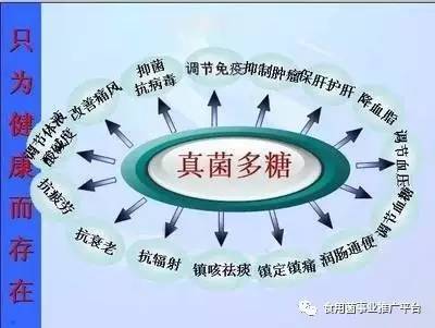 营养是怎样调理疾病的